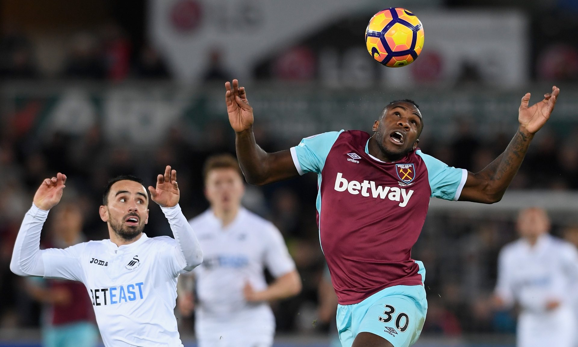 阿根廷足协 阿根廷足协